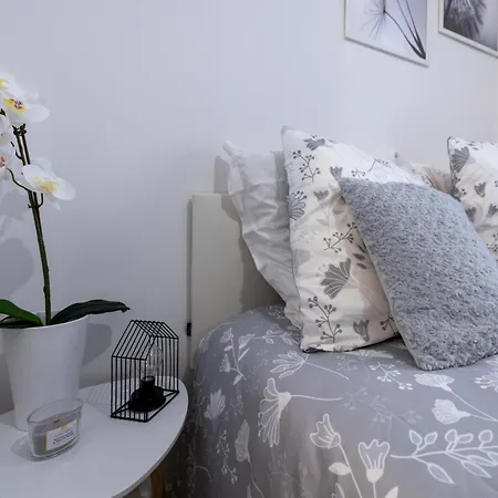 2 Cosys En Plein Coeur De Apartment Varilhes