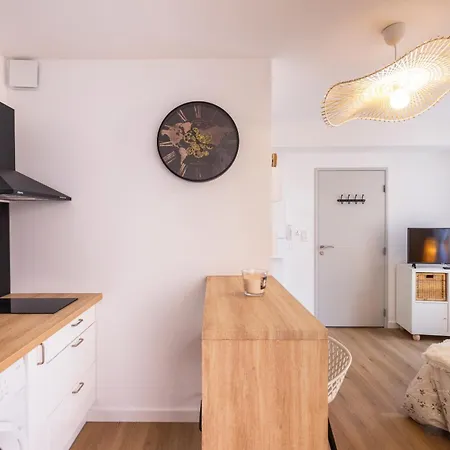 Apartmán 2 Cosys En Plein Coeur De Varilhes