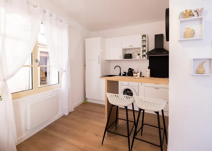 2 Cosys En Plein Coeur De Varilhes